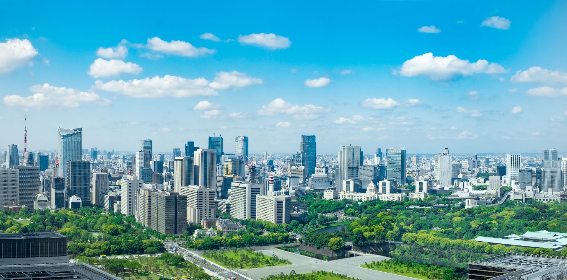 ネクストジェネレーション株式会社